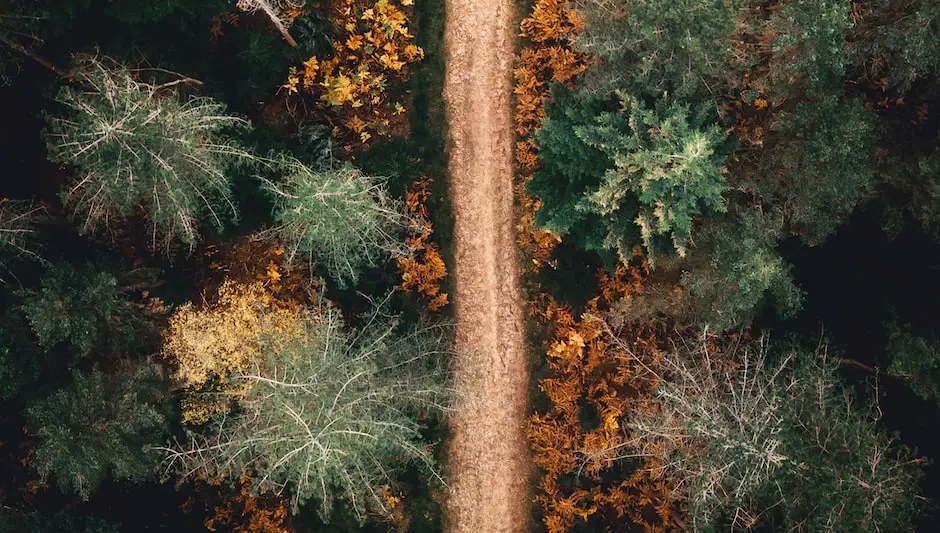 how to keep landscape timbers from warping