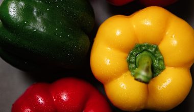 how to grow a pepper garden