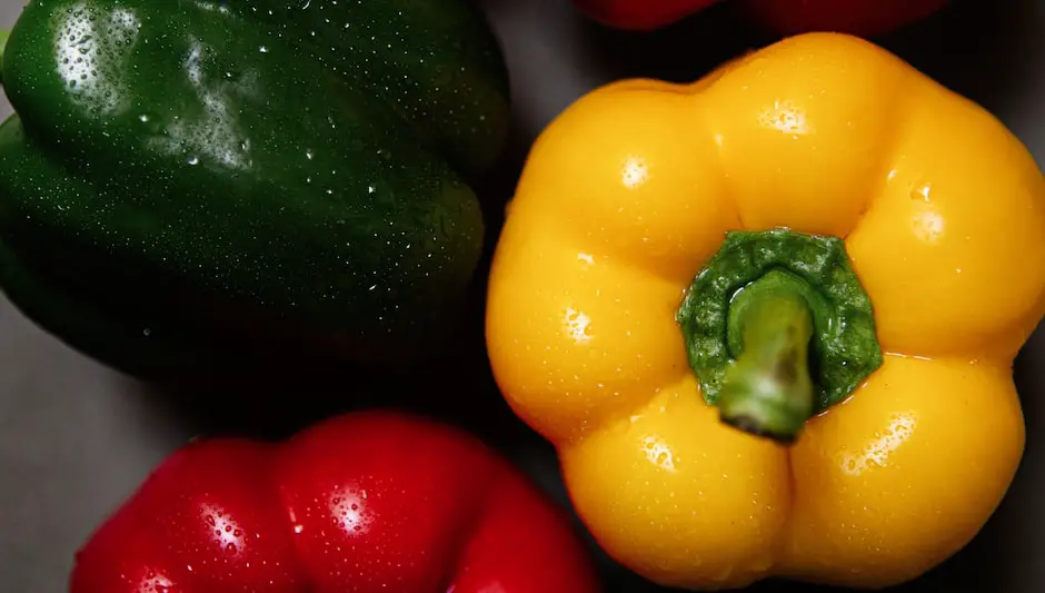 how to grow a pepper garden