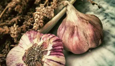 how to grow an endless supply of garlic indoors