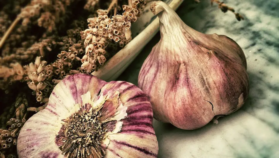 how to grow an endless supply of garlic indoors