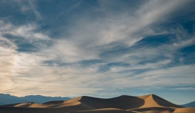 what plants grow in the kalahari desert