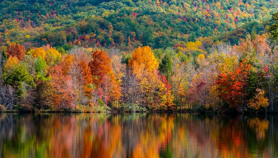 when does foliage start in maine