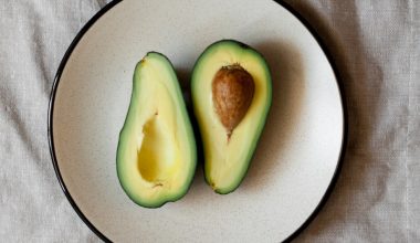 do avocados grown from seeds bear fruit