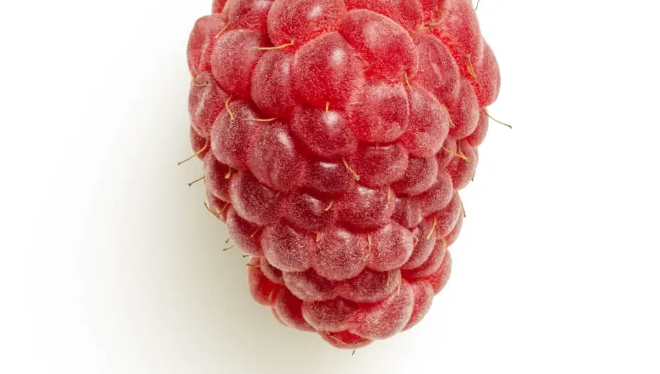 what time of year do you prune raspberries